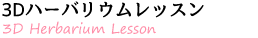 3Dハーバリウムレッスン