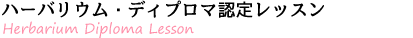 ハーバリウムディプロマ認定レッスン